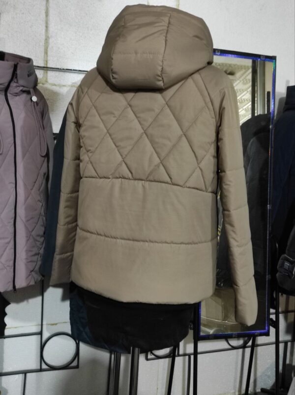 демісезонна жіноча куртка дн-17